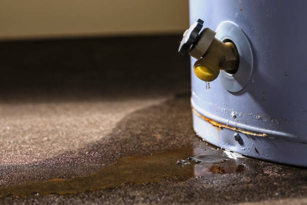 Best Emergency water damage restoration  in Burnsville, NC