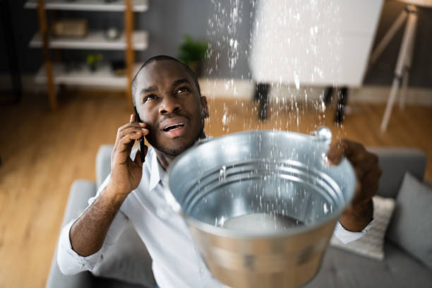Best 24/7 water damage repair  in Burnsville, NC