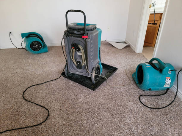 Best Professional water damage repair  in Burnsville, NC
