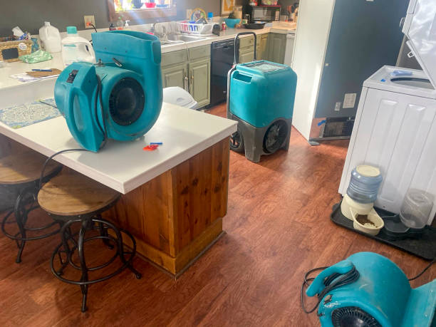 Best Sewage cleanup and water damage restoration  in Burnsville, NC
