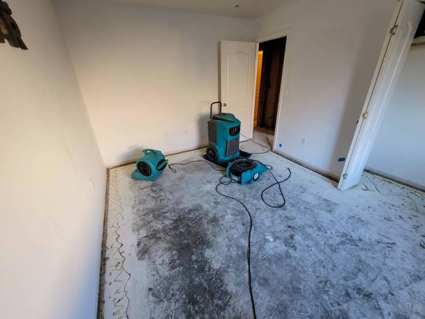 Best Flood restoration services  in Burnsville, NC