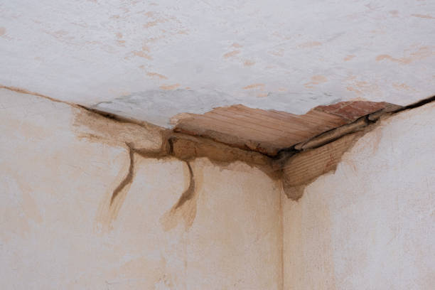 Best Water damage restoration near me  in Burnsville, NC