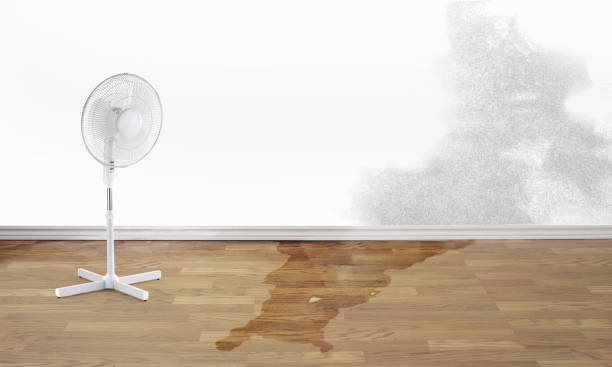 Water damage restoration mold remediation in NC