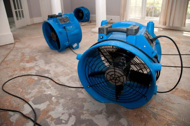 Best Carpet water damage restoration  in Burnsville, NC