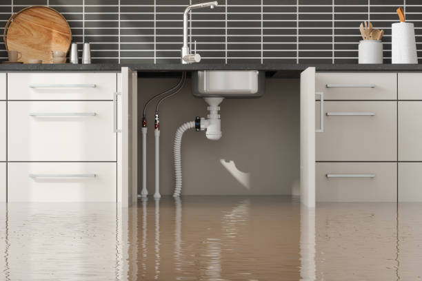 Best Water damage cleanup near me  in Burnsville, NC